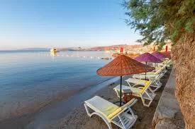 Ortakent Yahşi Rent A Car hizmetimizle ekonomik araç kiralama, uygun fiyatlar ve havalimanı teslimi avantajlarını keşfedin.